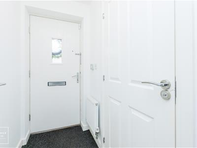 Picture 31
